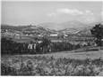 vista di branca 1950