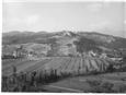 vista di branca 1950