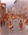 Festa dei ceri