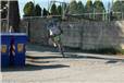DSC_5160.JPG
