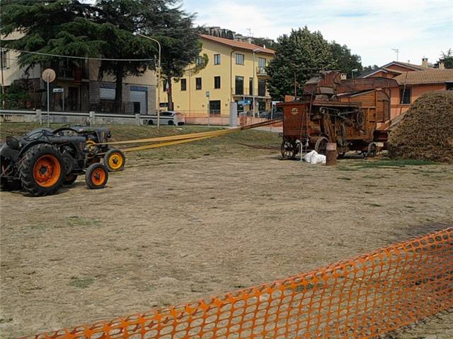 trebbiatura 2011.jpg