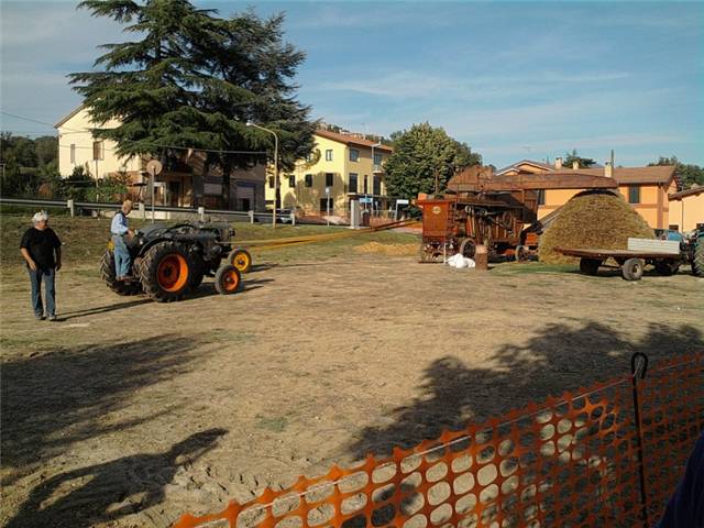 trebbiatura 2011.jpg