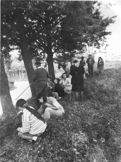festa degli alberi davanti ex stazione