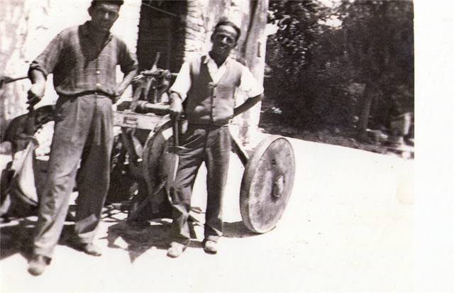 46.jpg