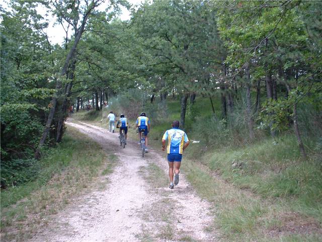 DSCF0010.JPG