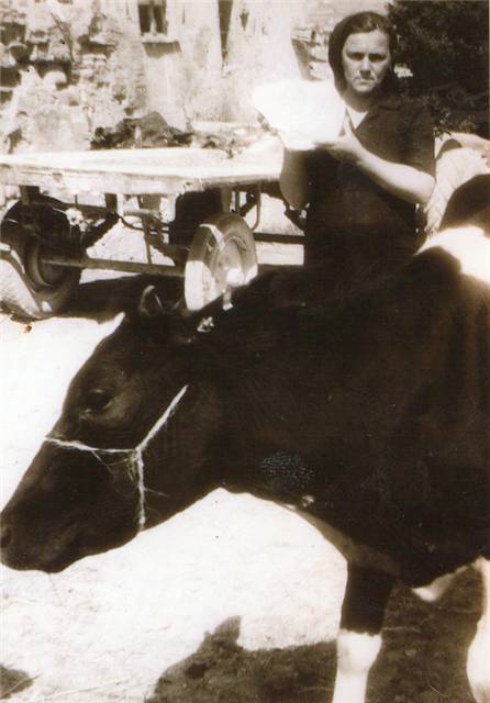 Farneti Piera