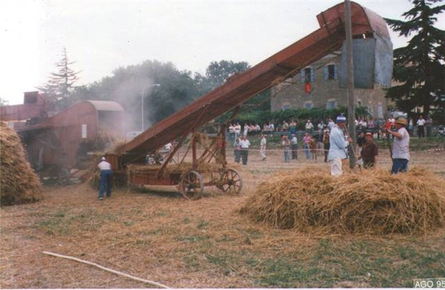 53.jpg