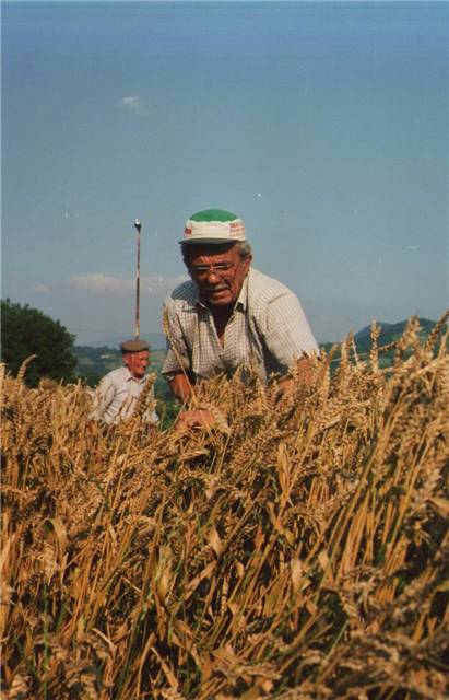 67.jpg