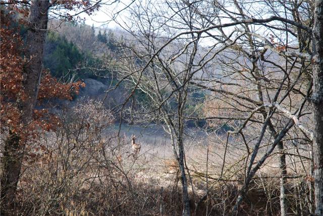 DSC_0010.jpg