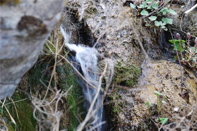 DSC_0077.jpg