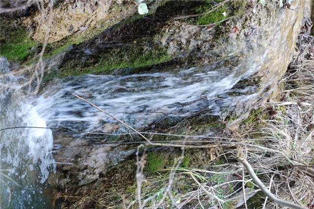 DSC_0078.jpg