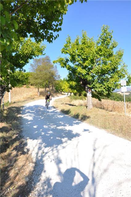 DSC_0042.JPG