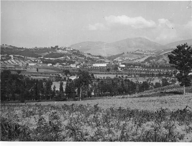 vista di branca 1950