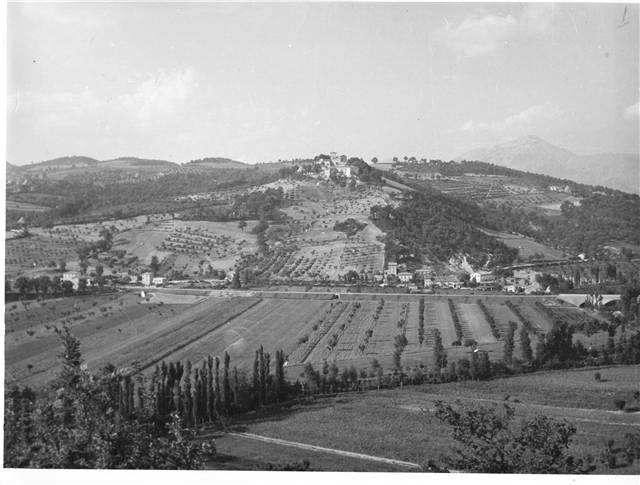 vista di branca 1950
