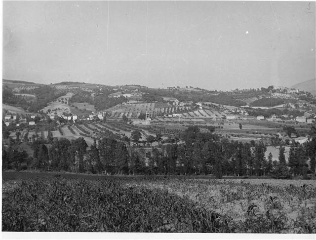 vista di branca 1950