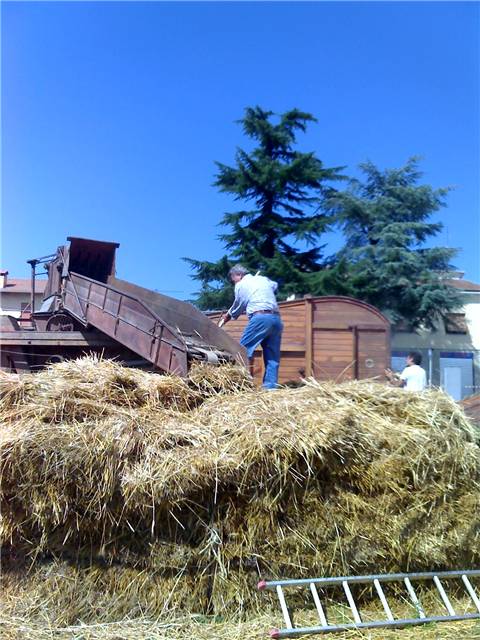 Bartocci Berto trebbiatura 2006.jpg