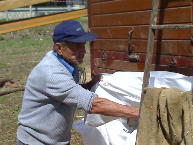 Codignoni Fernando 2006.jpg