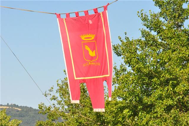 DSC_0855.JPG