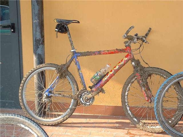 DSCF0123.JPG